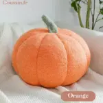 Orangefarbenes Kürbiskissen