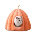 Kissen mit Katzen-Kürbis